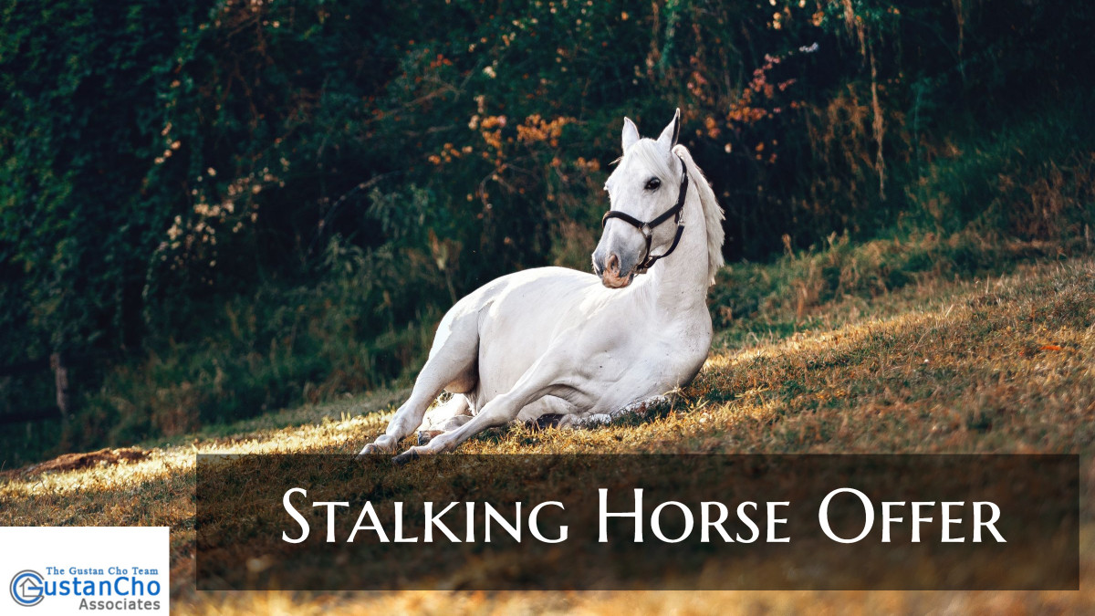 stalking horse bid