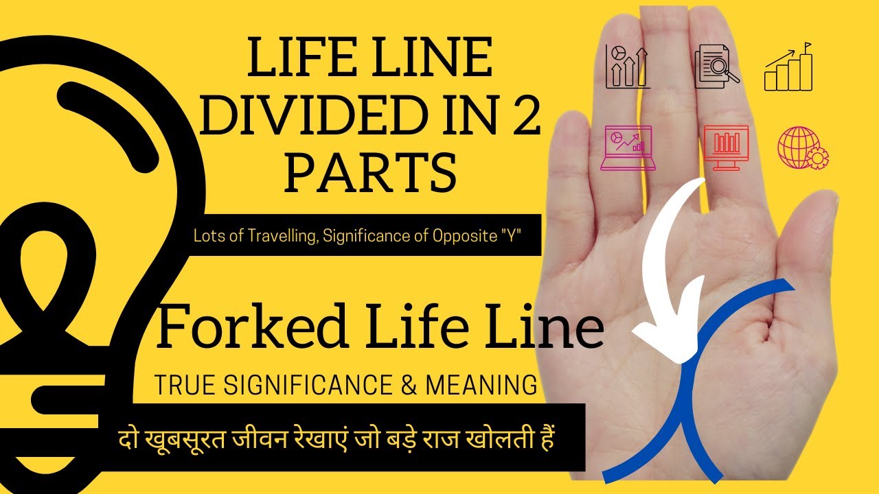 life line meaning